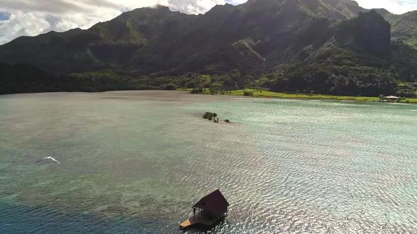 A seabird flies in slow motion over a tranquil turquoise lagoon, revealing a solitary overwater hut against a backdrop of majestic green mountains