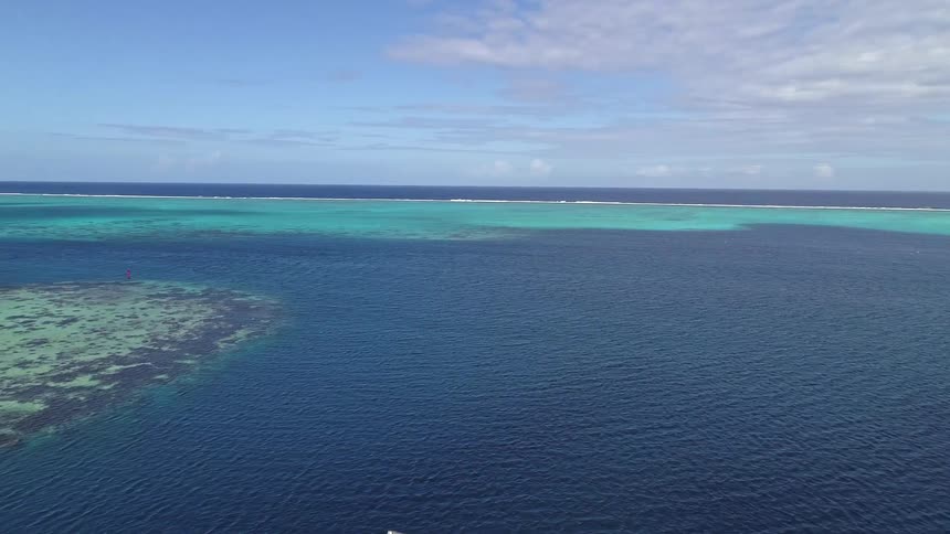 A graceful seagull soars in slow motion over a stunning tropical lagoon, revealing the vibrant coral reef beneath the turquoise water