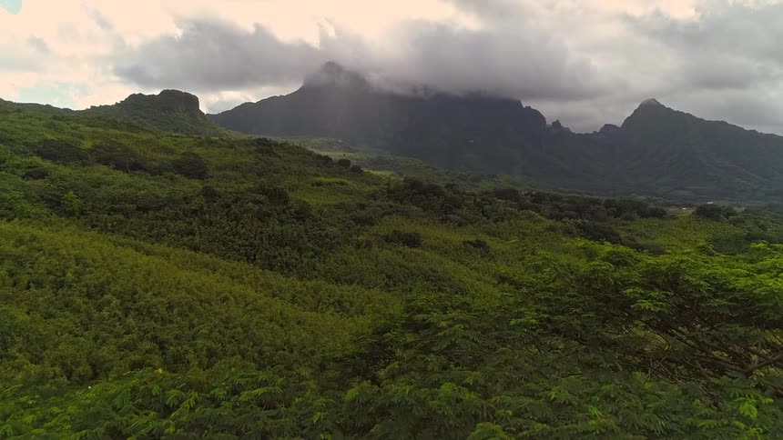 Aerial view rises over a dense tropical forest to reveal a vast green valley and a majestic mountain range shrouded in clouds