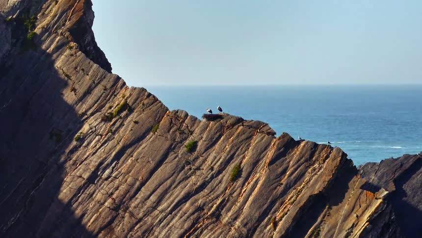 An aerial view slowly zooms in on two storks in their nest, perched atop a steep, rugged coastal cliff overlooking the vast blue ocean