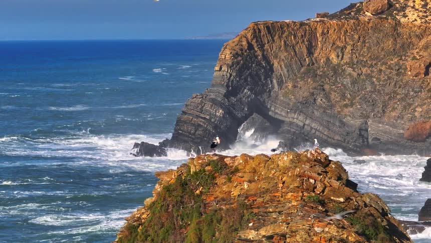 A majestic white stork stands proudly on a sunlit cliff as seagulls soar over the tempestuous ocean, with waves crashing through a massive rock arch in the background