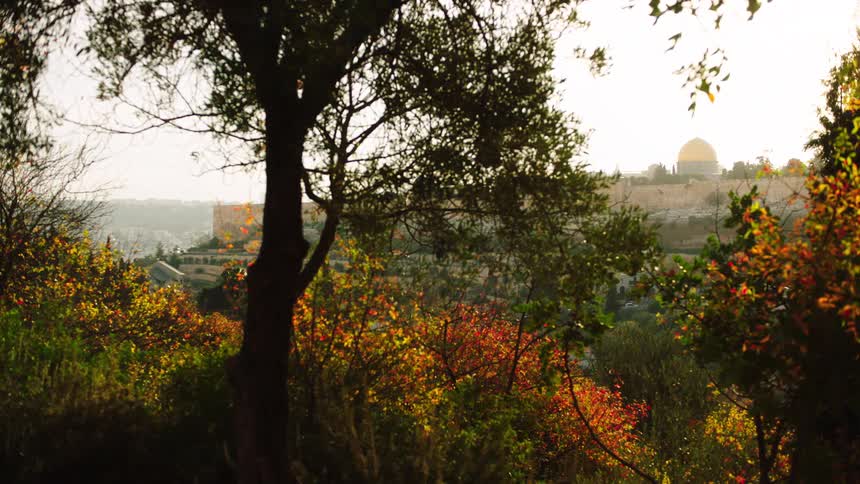 The golden Dome of the Rock in Jerusalem is seen from a distance, framed by colorful autumn foliage in the warm light of sunset