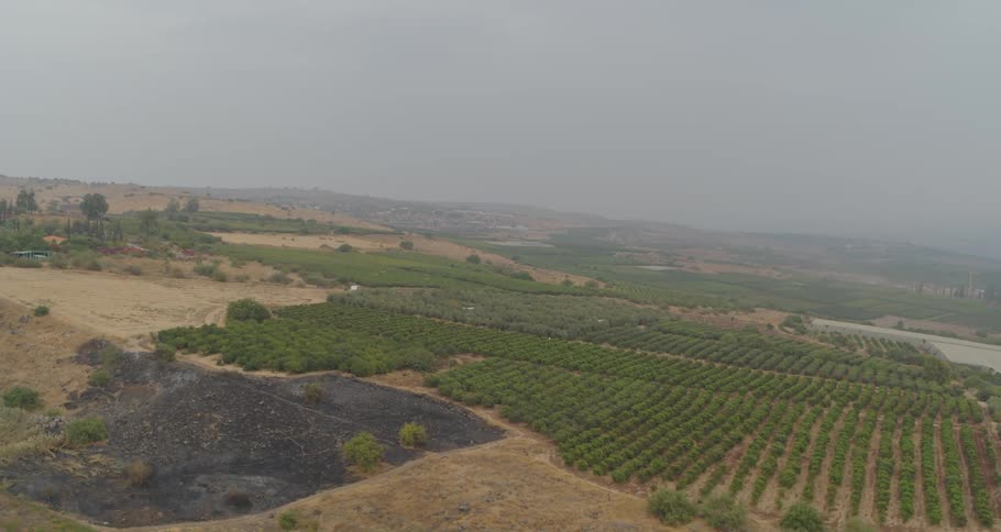 An aerial drone flies over rural farmlands, revealing lush green orchards alongside a patch of scorched, burnt earth on a hazy day