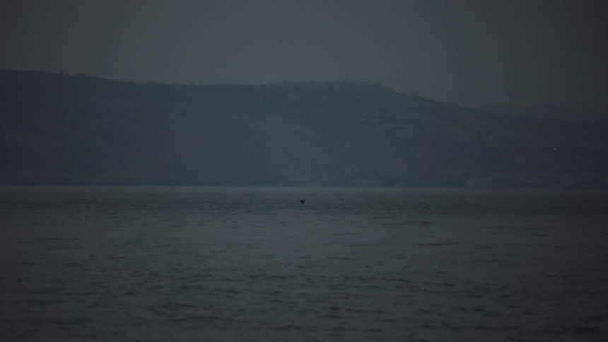 A lone bird flies in slow motion over the vast, dark sea under a gloomy sky with distant mountains on the horizon