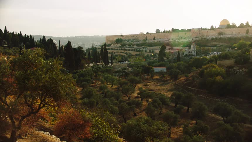 A slow tilt-up shot reveals the ancient city of Jerusalem and the Dome of the Rock from across the Kidron Valley and the Mount of Olives
