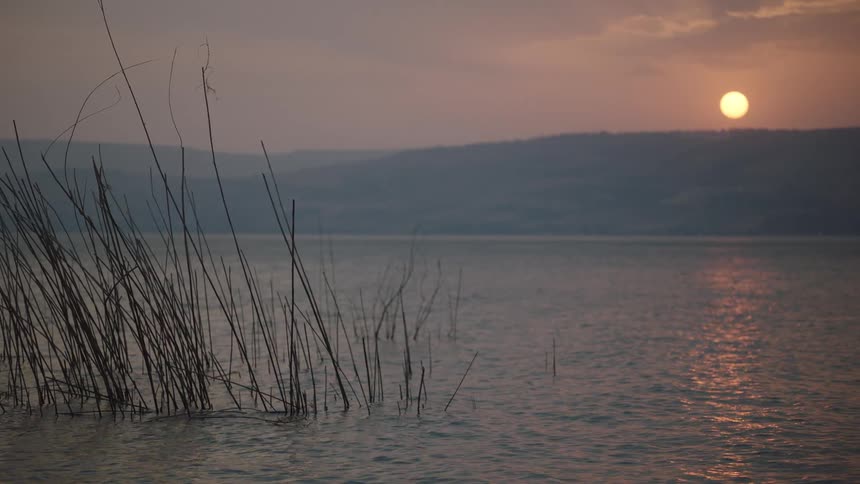 A tranquil lake at sunset with reeds in the foreground and hazy mountains in the distance