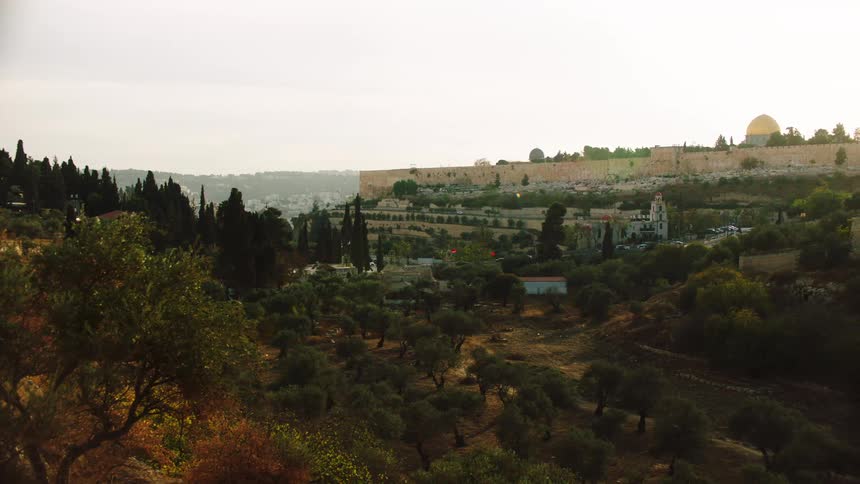 A wide, scenic view of the walled Old City of Jerusalem with the Dome of the Rock visible from across a lush valley