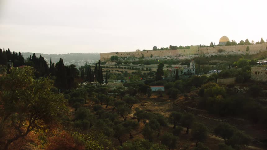 A scenic wide shot of the Old City of Jerusalem featuring the Dome of the Rock and ancient city walls, viewed from a lush, tree-filled hillside