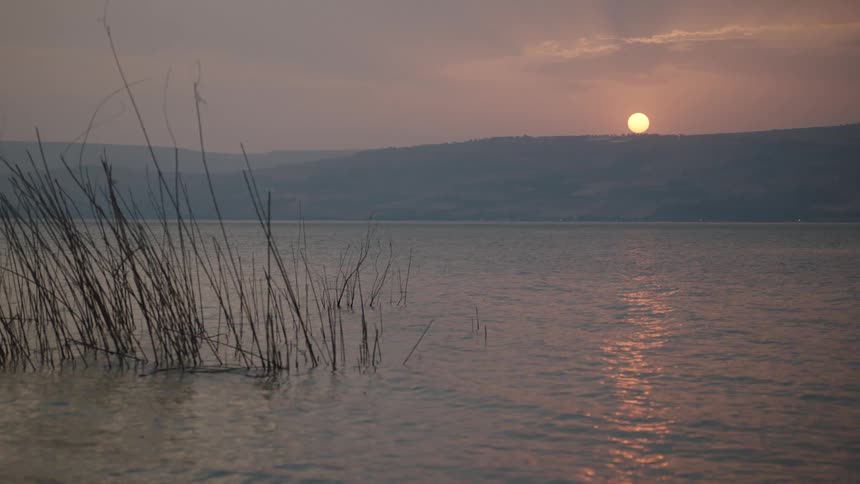 A tranquil sunset casts a warm, pinkish glow over a calm lake as gentle waves move past reeds in the foreground