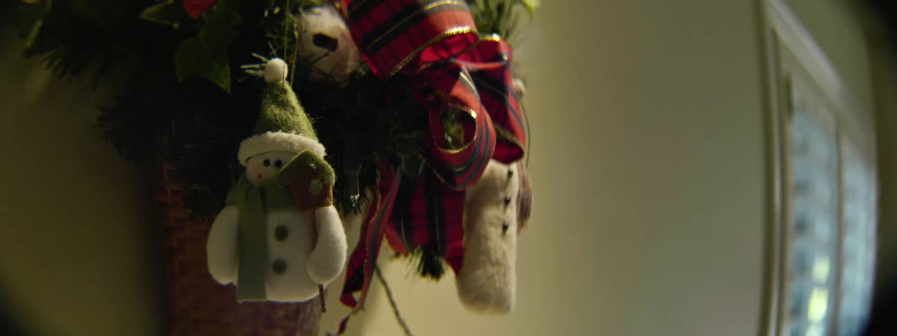 Ornaments hang on a christmas tree