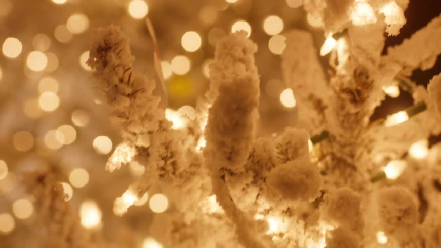 A christmas tree has bright lights at night