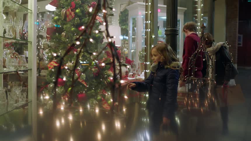 Several people look through the window of a store at christmas decorations
