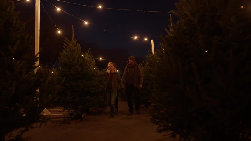 A family shops for a christmas tree in a lot at night