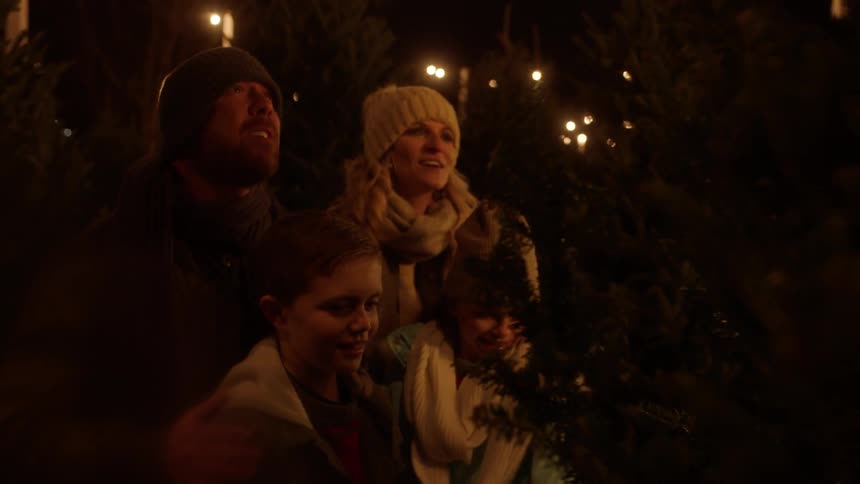 Family looking at christmas pine tree in tree farm outside at night
