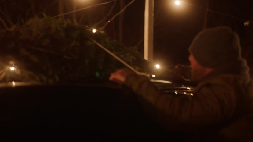 A man tightens a rope on a tree attached to his car