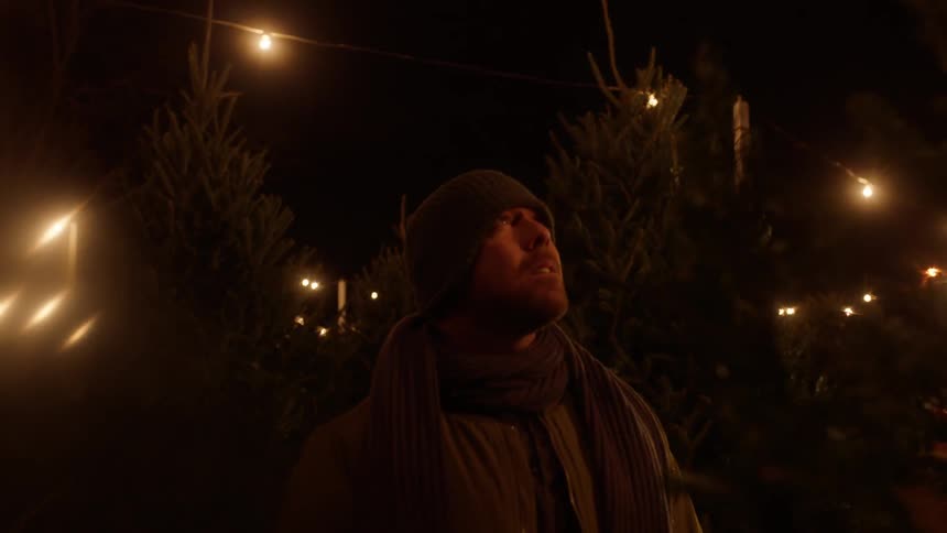 A man looks up in a tree park at night