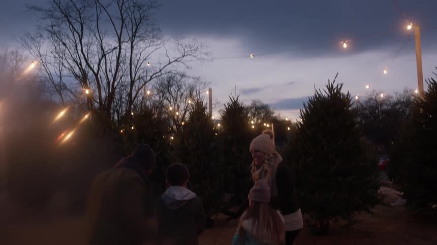 A family warms by the fire by a tree farm