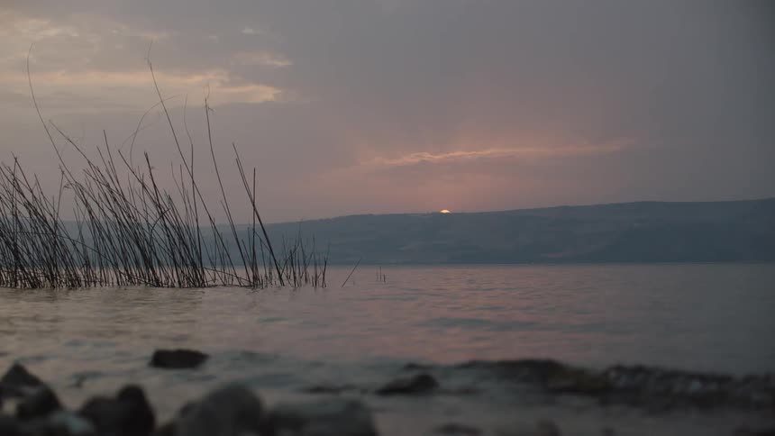 A tranquil sunrise over a lake with gentle waves lapping the rocky shore and reeds sticking out of the water