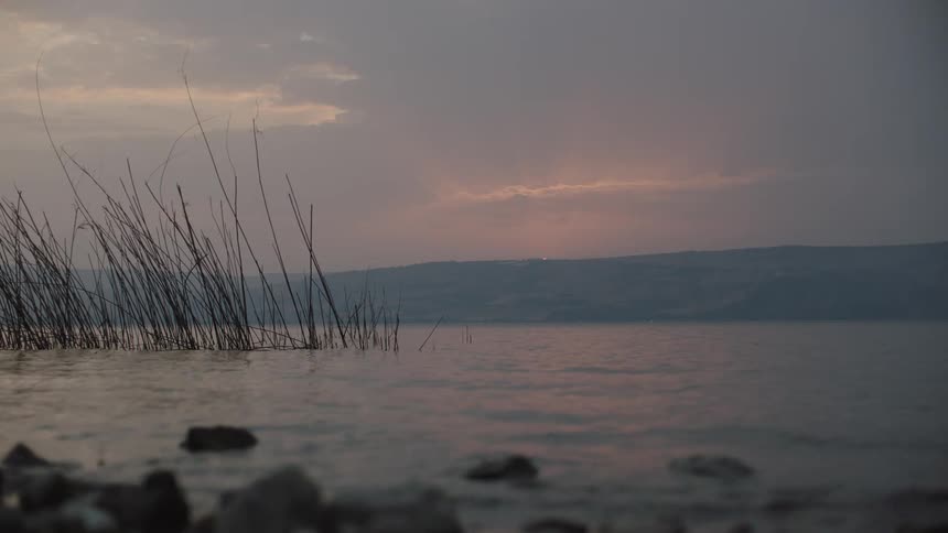 Calm waters ripple gently past reeds onto a rocky shore during a peaceful, cloudy sunset
