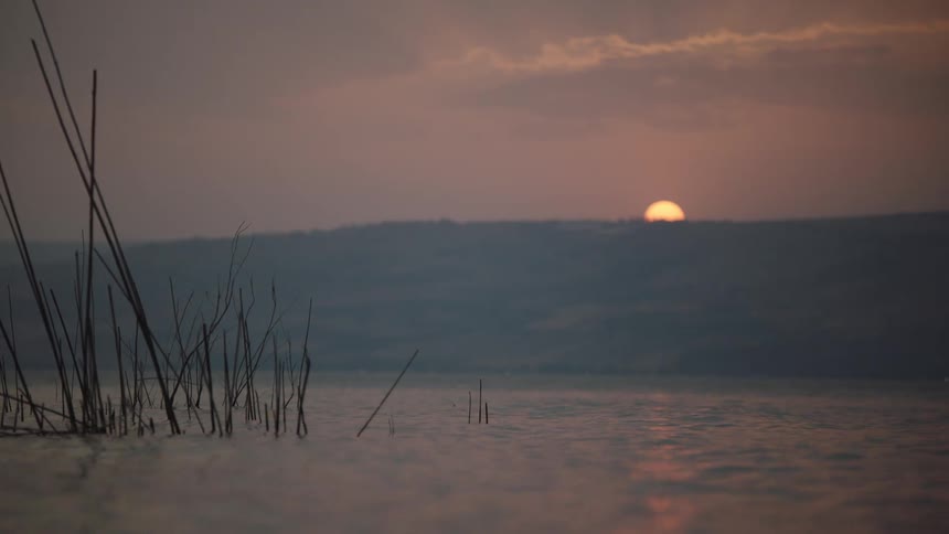 Reeds stand in a calm lake as the sun sets peacefully behind distant, hazy hills, casting a warm glow on the water