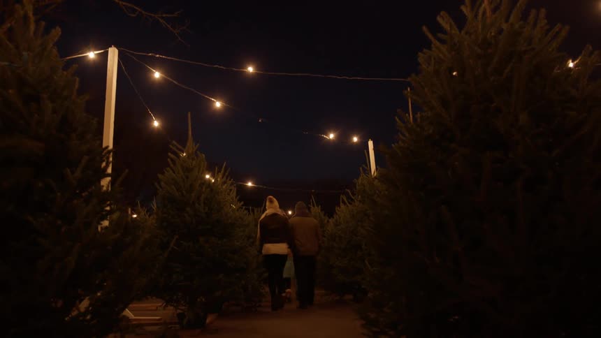 Three people walk down an aisle of pine trees at night