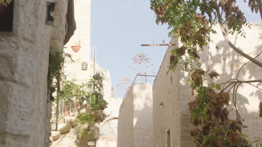 A sun-drenched stone alley in an ancient town, adorned with potted plants and trees