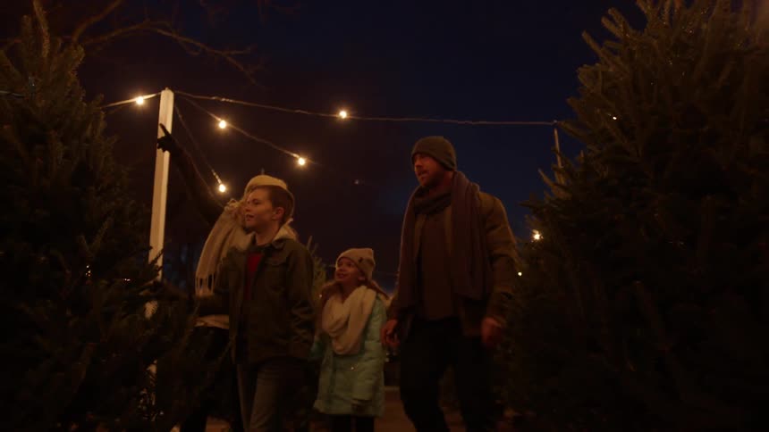 Family looking at christmas pine trees in tree farm outside at night