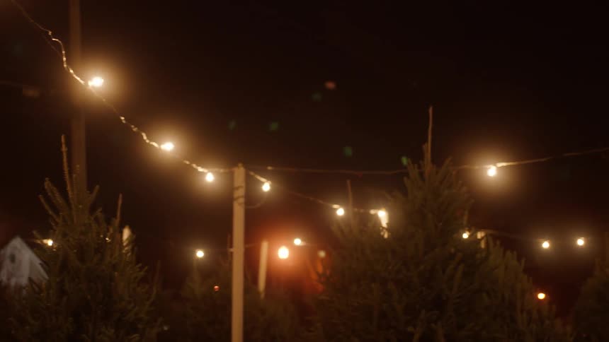 The tree park is lined with lights at night