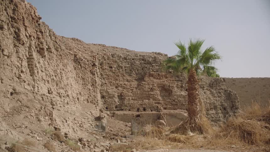 Ancient mud-brick walls of a desert ruin stand under a clear sky with a solitary palm tree