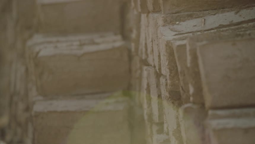 A dreamy close-up rack focus shot reveals the textured details of an ancient mud-brick wall
