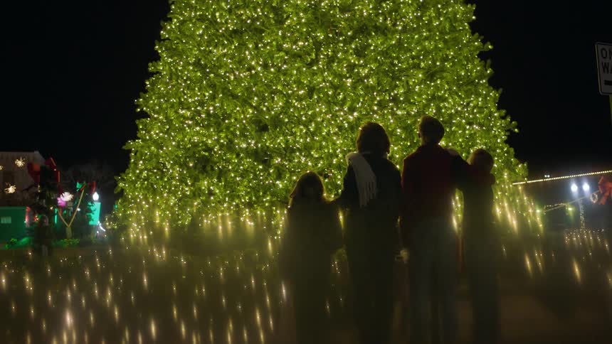 A huge christmas tree is bright at night as people watch