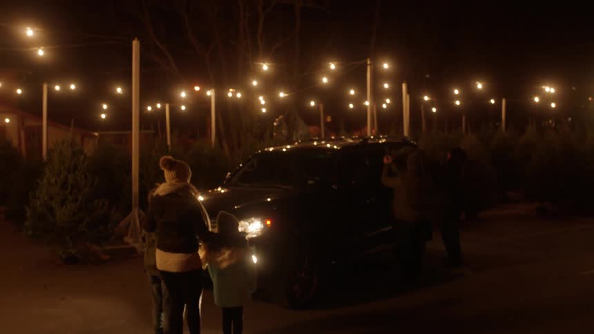 The tree farm is lined with lights at night