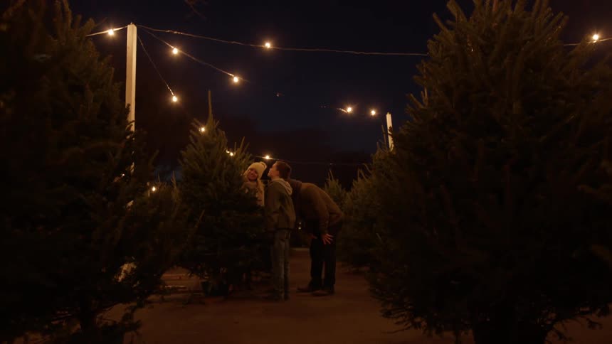 A family shops for a christmas tree in an outdoor lot at night