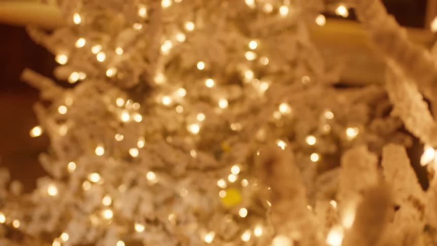 A close up view of a tree with lights on it outside