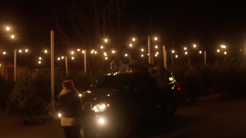 People stand outside of a car putting a christmas tree on top