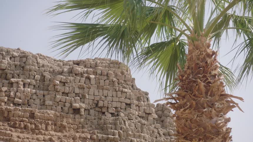 A lone palm tree sways in the gentle breeze beside ancient mud-brick ruins under a hazy sky