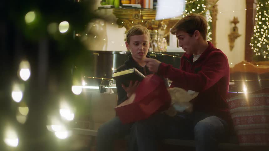 Boys sneaking a look at a gift book before placing it back in a gift bag