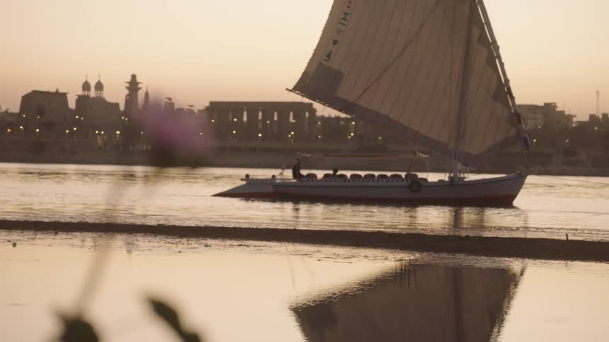 A serene focus pull from a delicate pink flower to a traditional felucca sailboat gliding on a tranquil river at sunset