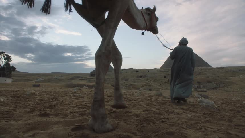 A low-angle, slow-motion shot follows an Egyptian man in traditional clothing as he leads his camel through the desert towards the Pyramids of Giza
