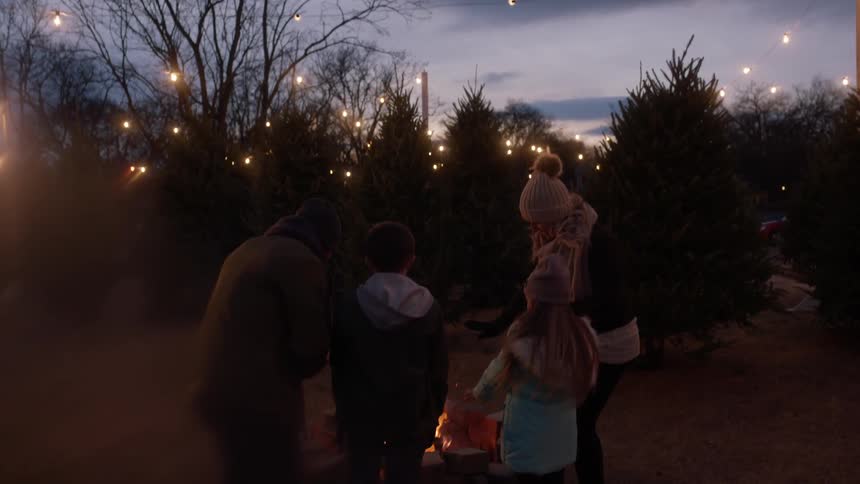 People stand around a campfire near a tree park
