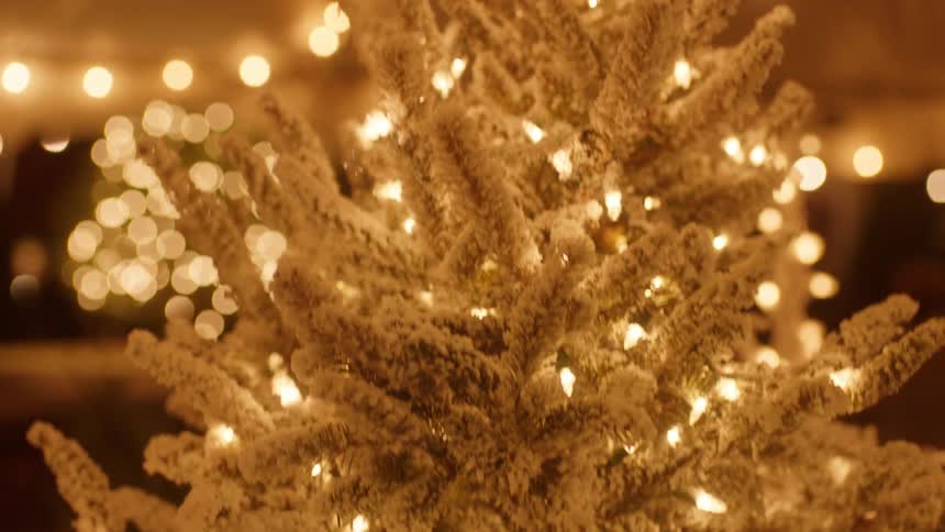 The white tree is sitting under a tent at night