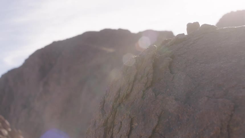 A small lizard basks in the sun on a large rock in an arid landscape, with a bright lens flare creating a halo effect