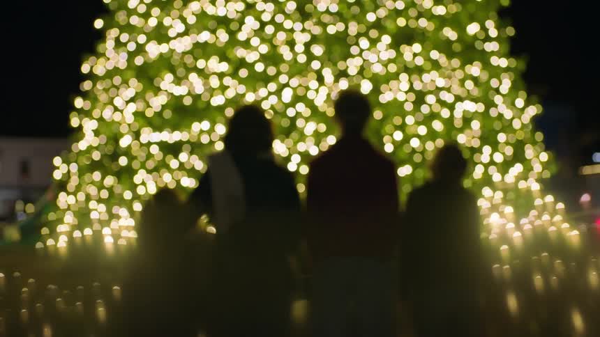A family admires a large christmas tree in the city