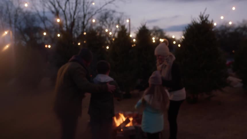 A family gathers around a bonfire in a christmas tree lot