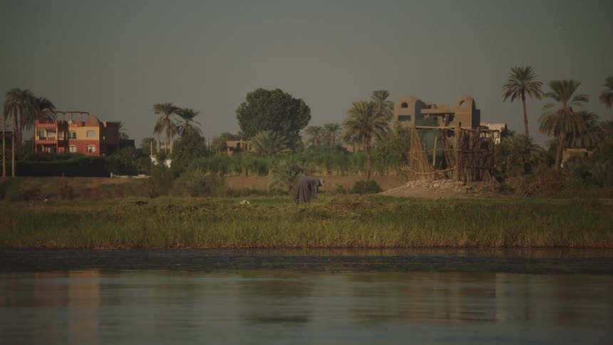 A person in traditional clothing tends to crops on the lush green banks of the Nile River in a rural Egyptian village