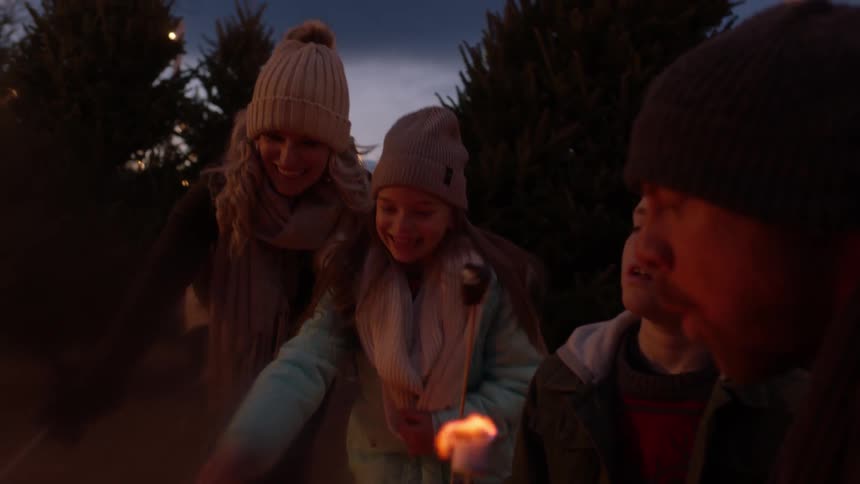 Family roasting marshmallows on sticks over campfire at night