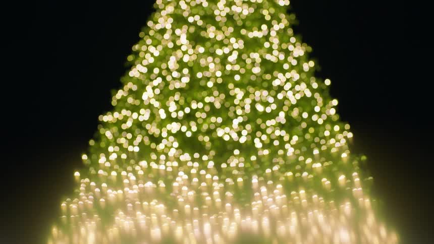 A family stands and looks up at a large lit christmas tree