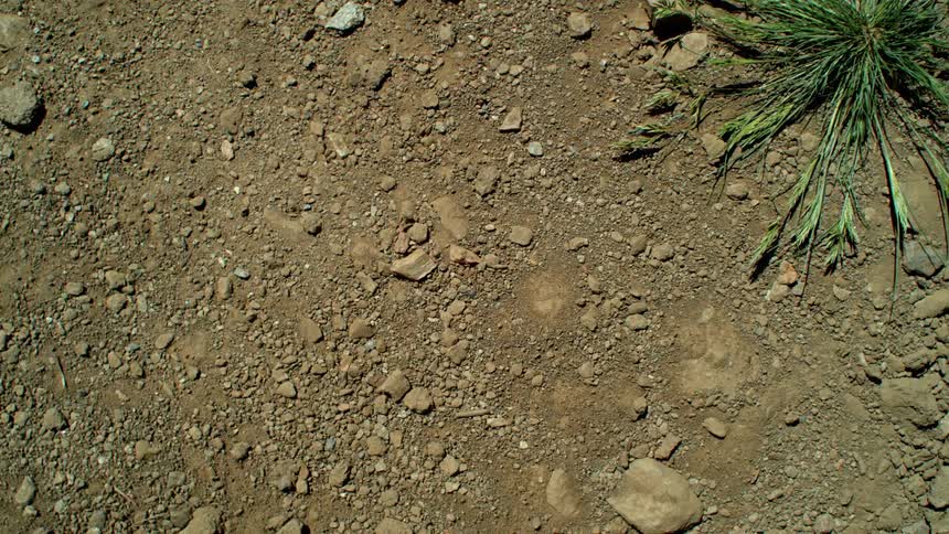 The ground is shaking with soil moving around