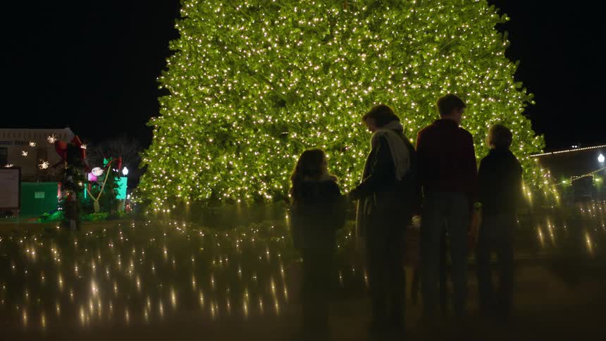 A family stands in front of a christmas tree at night