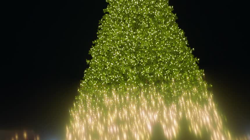 People watch as lights on christmas tree turn from white to green outside at night